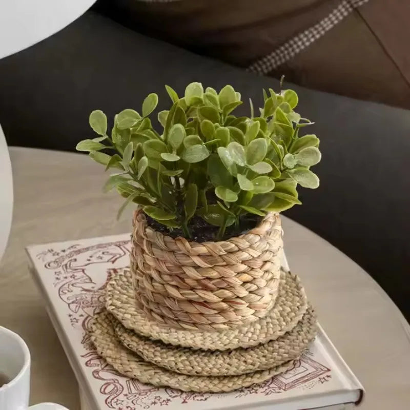 Potted Plant Small Fake Plants Indoor Home Decor Decorative Pot for Living Room Office Decoration Realistic Faux Greenery